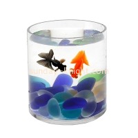 Transforming Spaces with Acrylic Fish Tanks, Fish Bowls, and Plant Pots