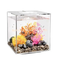 Enhance Your Home Décor with an Acrylic Fish Tank: A Guide by Sunday Knight