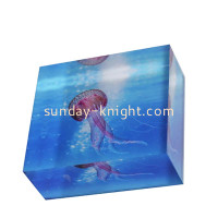 Acrylic Block with UV Printing Elevating Displays with Sunday Knight