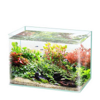 Custom Acrylic Fish Aquariums The Ultimate Guide to Premium Handmade Aquatic Habitats