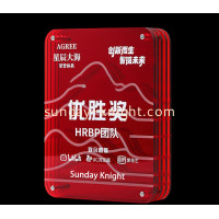 Celebrating Success: Custom Acrylic Creative Outstanding Employee & Team Awards by Sunday Knight