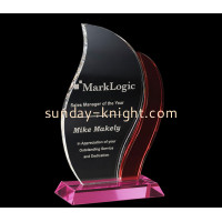 Custom Acrylic Appreciation Awards &ndash; Elegant Recognition by Sunday Knight
