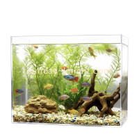Custom Acrylic Small Fish Tank: Elegant Solutions for Your Aquatic World