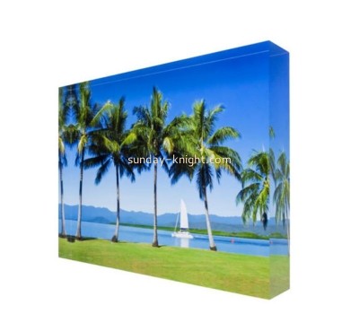 China plexiglass manufacturer custom acrylic photo frame block photo display ABK-219