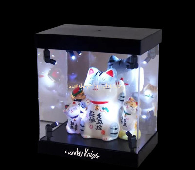 Custom acrylic LED showcase EDK-129