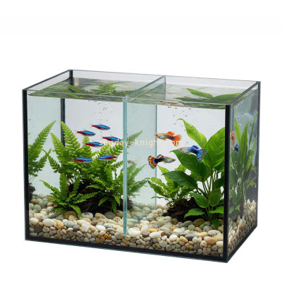 Custom acrylic small aquarium with divider FTK-141
