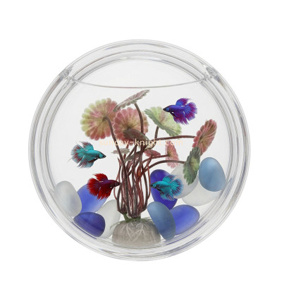 Custom acrylic wall hanging plant fish bowl FTK-143