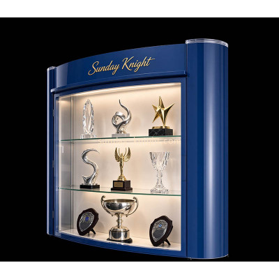 Custom acrylic trophies collectible illuminated showcase EDK-180